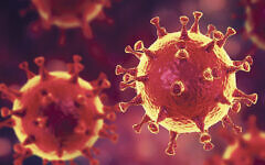 Coronavirus