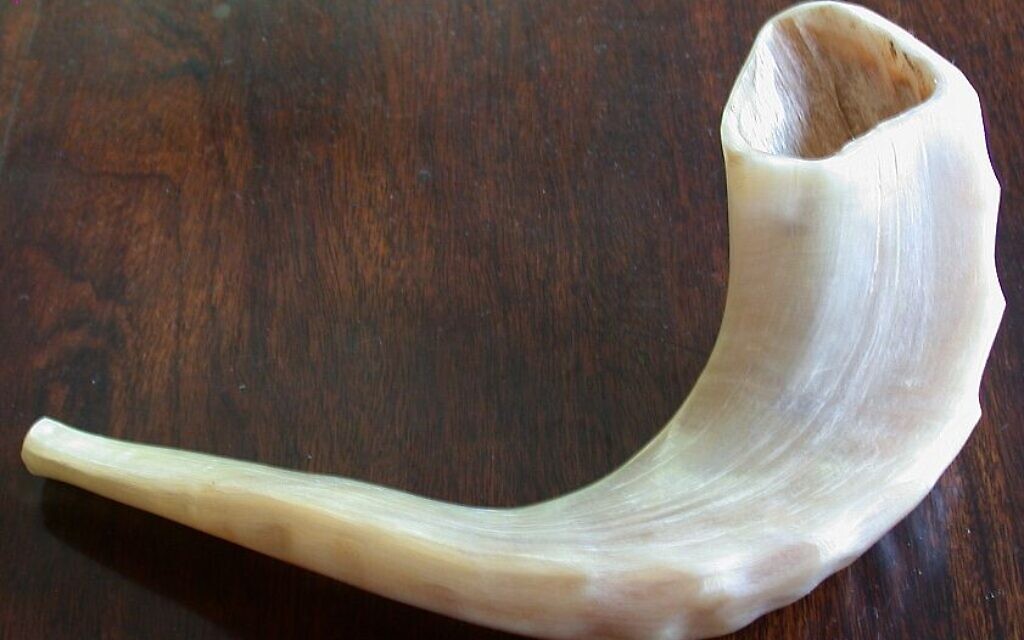 Shofar (Wikipedia/Olve Utne/ Attribution-ShareAlike 2.5 Generic (CC BY-SA 2.5) / https://creativecommons.org/licenses/by-sa/2.5/legalcode)