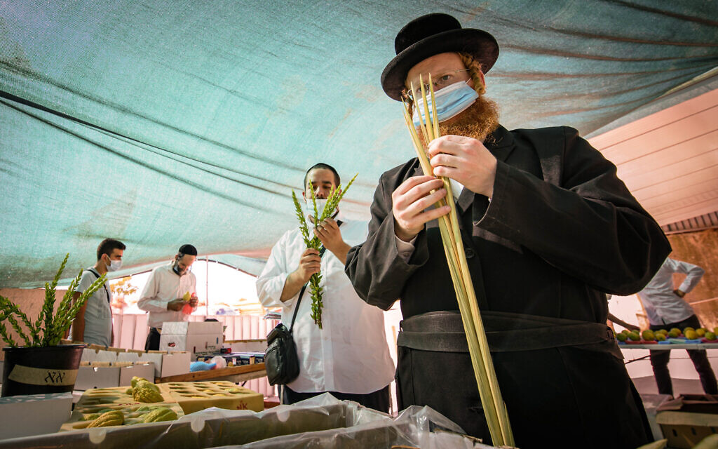 Ultra orthodox Jewish men shop for "four species" in the northern Israeli city of Tzfat, on September 29, 2020,  Photo by: Ayal Margolin-JINIPIX