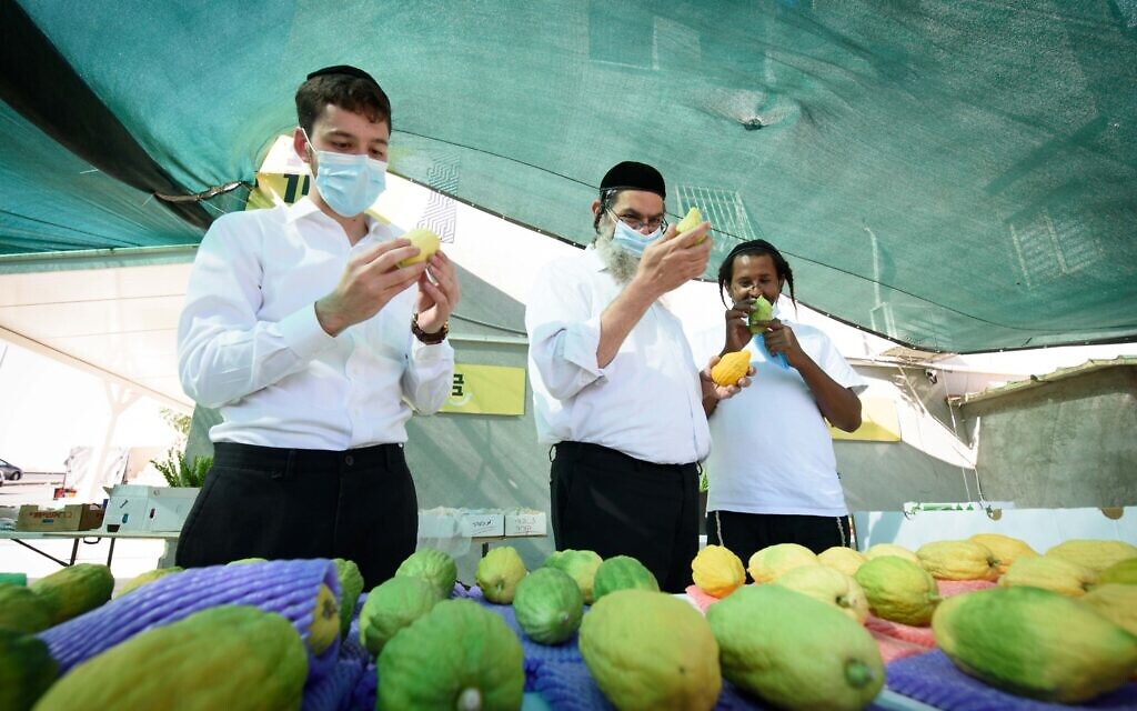Ultra orthodox Jewish men shop for "four species" in the northern Israeli city of Tzfat, on September 29, 2020, ahead of the Jewish holiday of Sukkot.  Photo by: Ayal Margolin-JINIPIX