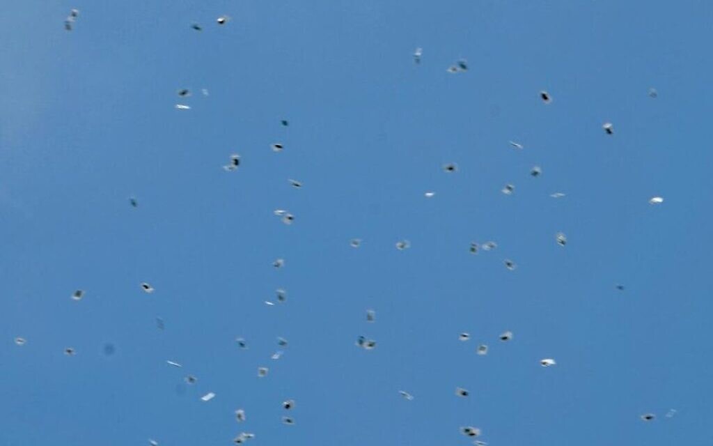 Weed falling from the sky. Credit: @YoniMichanie on Twitter