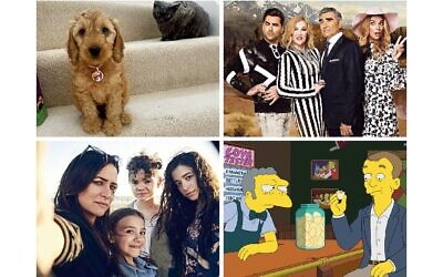 Judge Waffle, Schitt’s Creek, Better Things and Phil in the Simpsons