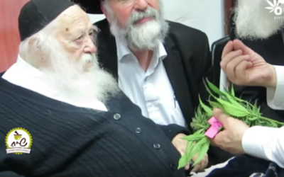 Rabbi Chaim Kanievsky blesses marijuana leaves as kosher for Passover. (Screenshot from YouTube)