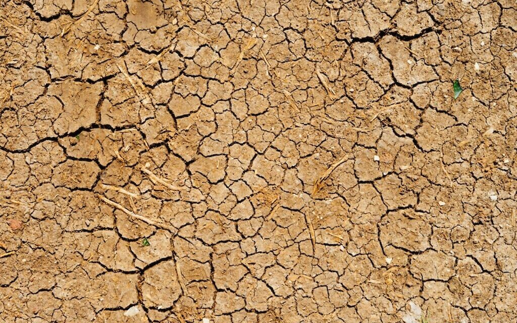 Drought. Photo by Dan Gold on Unsplash