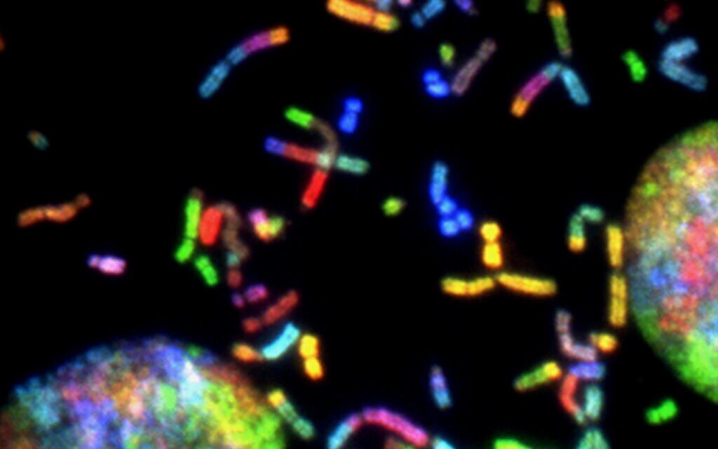 Cancer cells (Photo by National Cancer Institute on Unsplash)