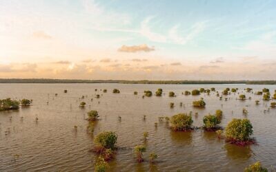 Flood (Photo by rachman reilli on Unsplash)