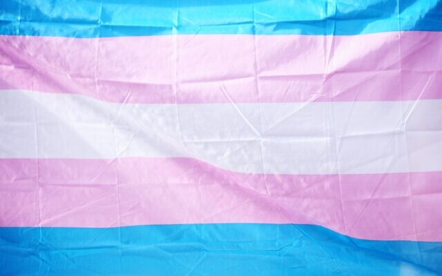 Trans flag (Photo by Sharon McCutcheon on Unsplash)
