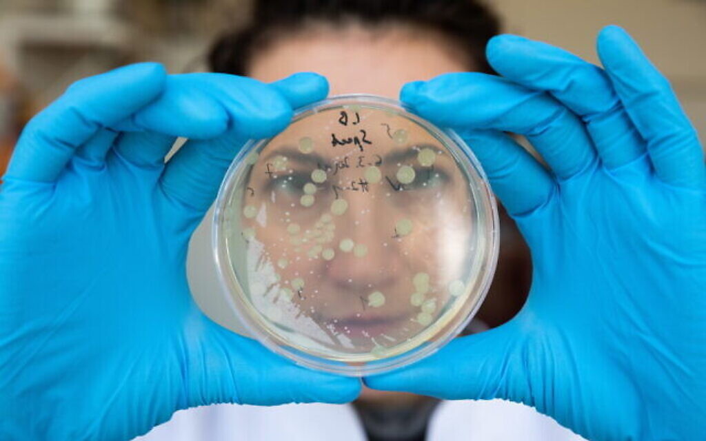Scientist with a petri dish looking at gene mutations