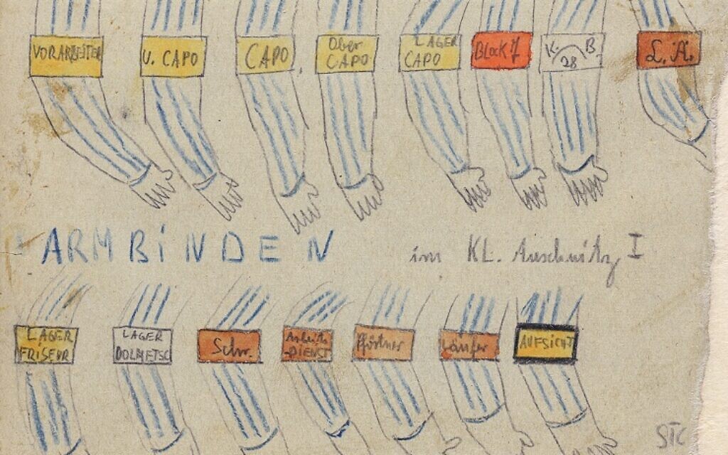 Armbands showing the prisoner hierarchy at Auschwitz