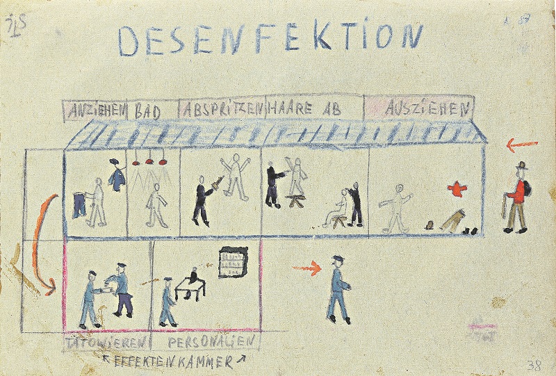 The disinfection process