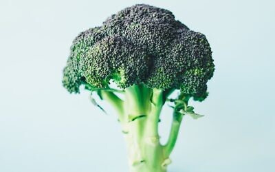 Broccoli  (Photo by Annie Spratt on Unsplash)