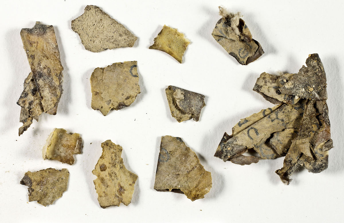 The Scrolls Fragments before conservation in the IAA Lab. Credit: Shai Halevi Israel Antiquities Authority