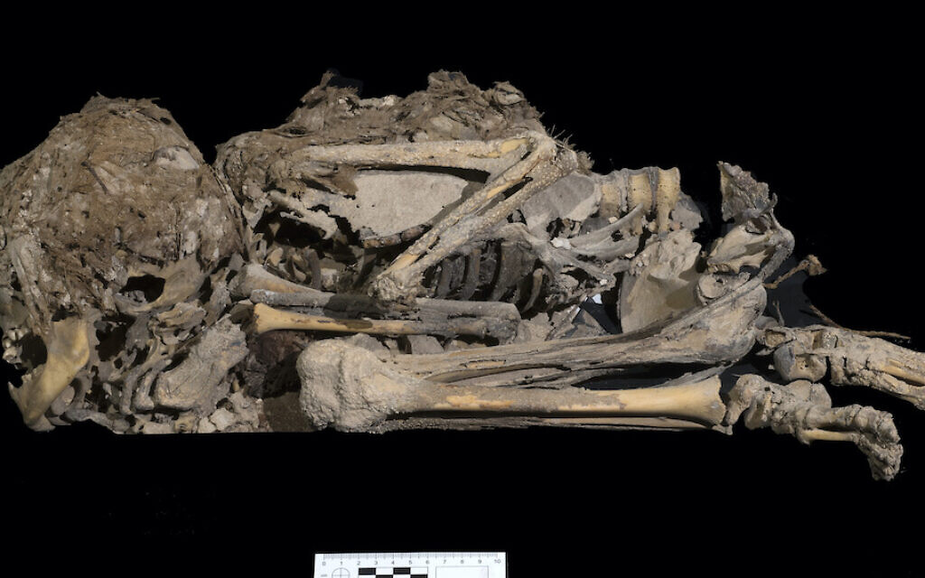 6000 years skeleton. Photo-Clara Amit Israel Antiquities Authority