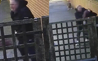 Screenshots from Shomrim's video showing the moment the assault pounced on a 20-year-old pregnant woman