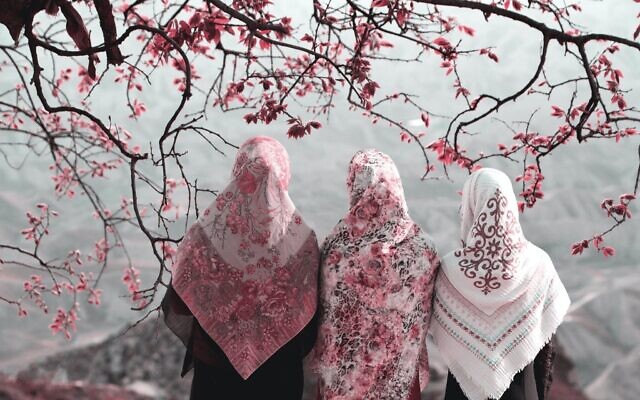 Muslim women in headscarves (Photo by Hasan Almasi on Unsplash)
