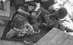 Many Jews chose to leave Iraq after the Farhud in 1941