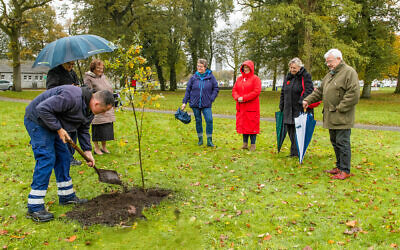 Local community leaders look on as the Lochside Park tree is planted (AL Photography)