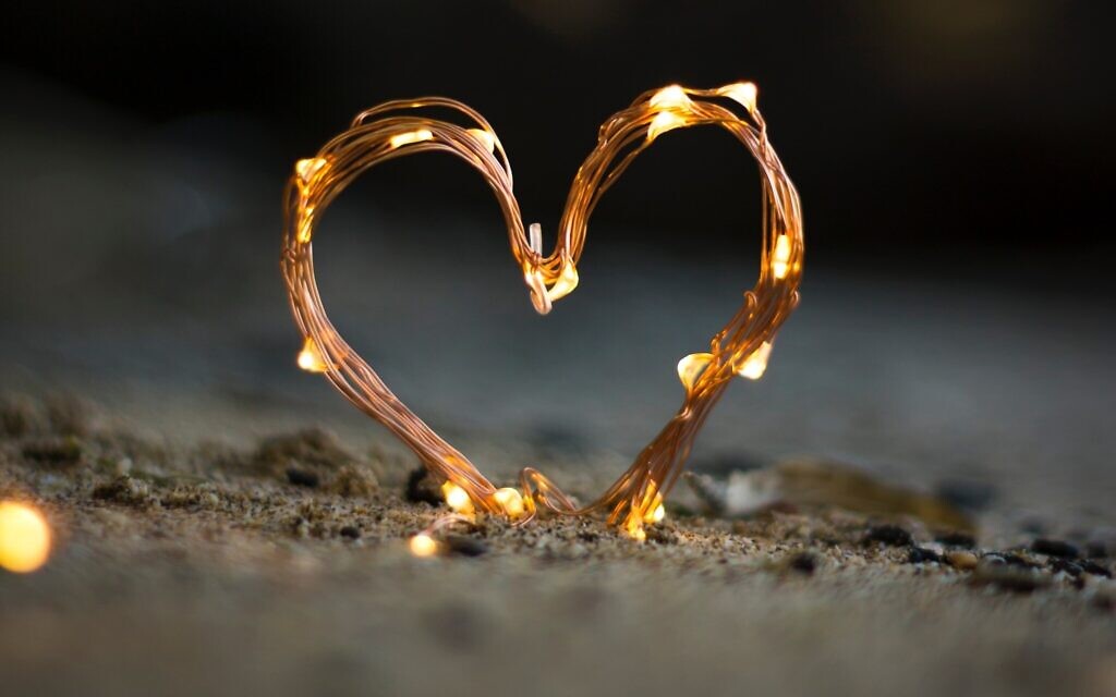 Love.. (Photo by Fadi Xd on Unsplash)