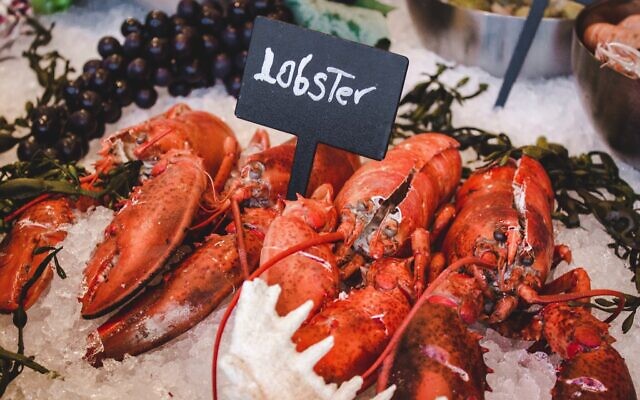 Lobsters  (Photo by Louis Hansel on Unsplash)