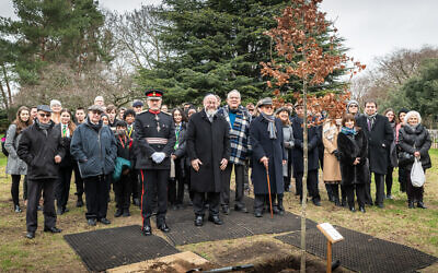 The Planting of Tree in Hyde Park of AJR On Jan2022 By Adam Soller Photography