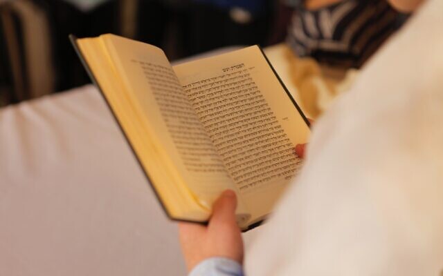 Reading Jewish texts (Photo by Eran Menashri on Unsplash)