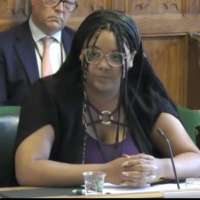 Larissa Kennedy is questioned by parliamentary committee