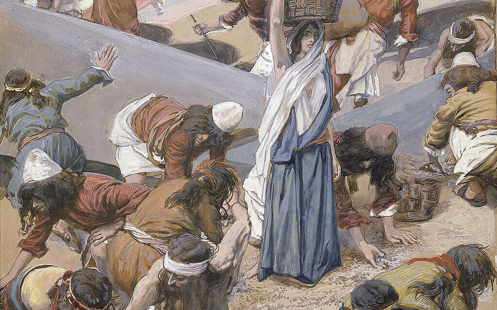 Gathering of the manna