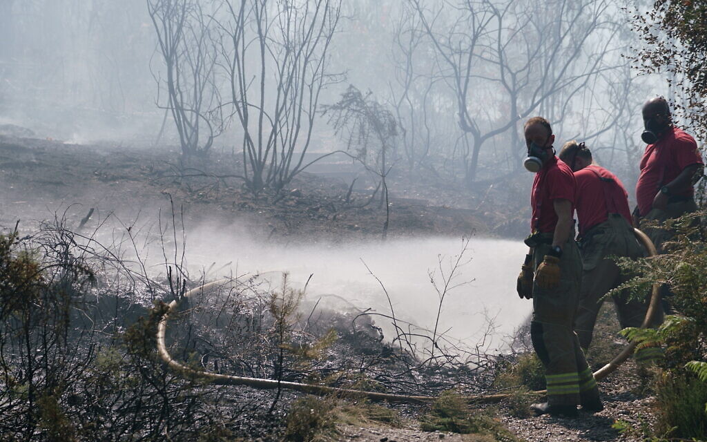 The aftermath of a fire at Shirley Hills in Croydon, England, on 19 July 2022, the hottest day in the country's history