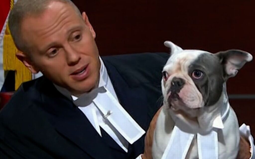Judge Rinder and his French bulldog Rocco