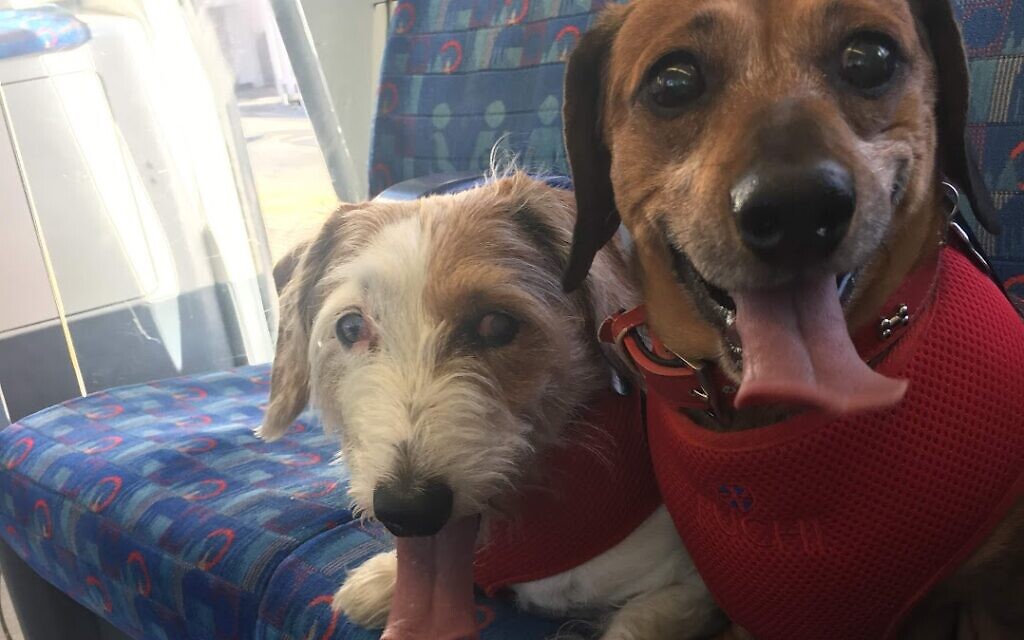 Carlo (right) with his brother (from another mother) Monty.