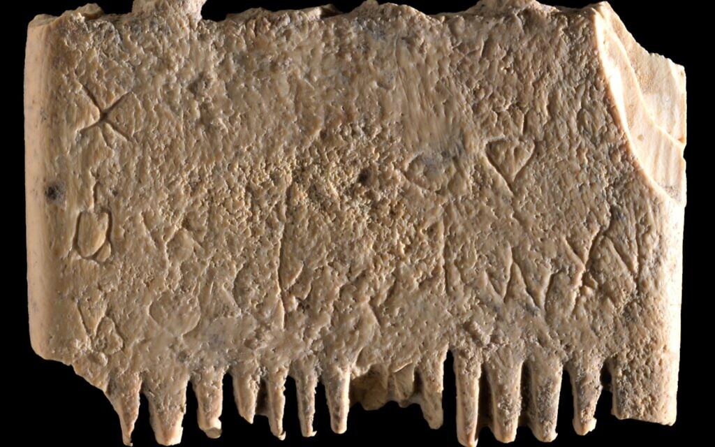 The ivory comb found in Israel. Photo credit: Dafna Gazit, Israel Antiquities Authority.