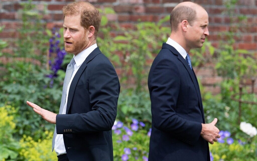 Prince Harry and Prince William