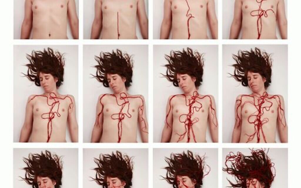 Veins (Paloma Tendero)