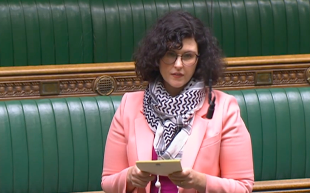 Lib Dems Layla Moran

(pic Parliament TV)