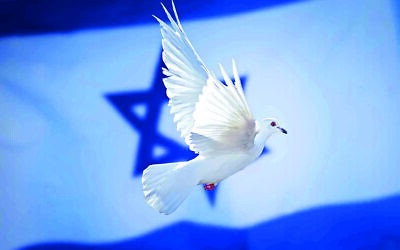 Israel quest for Peace. Pic: BICOM