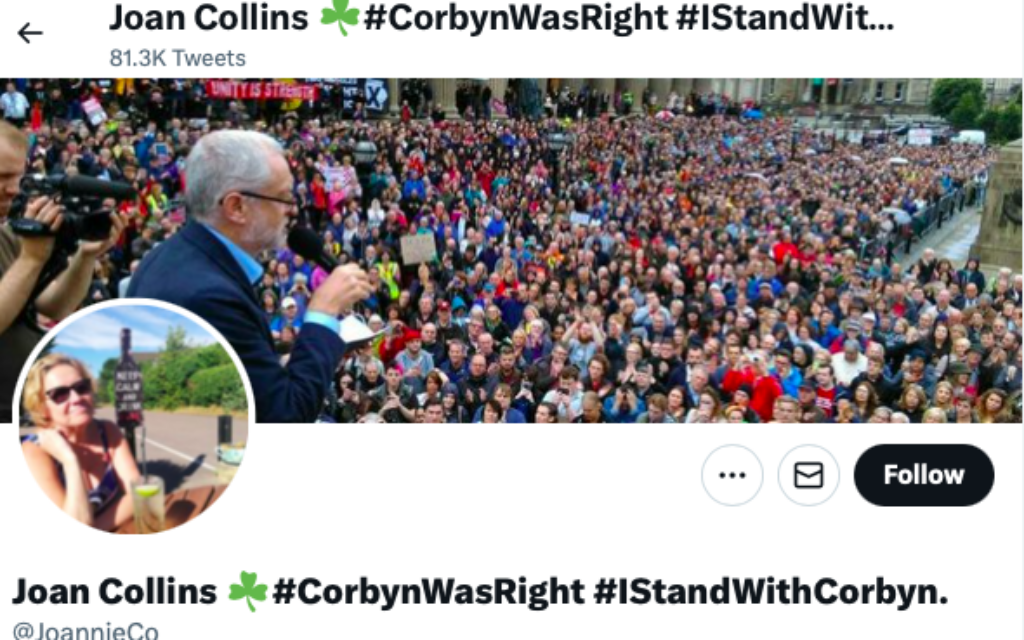 Joan Bridget Collins is standing for the Green Party in Hertsmere at next month's local election
