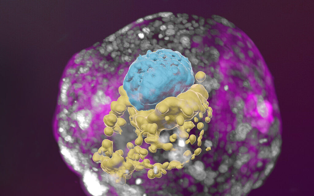 Researchers like Prof. Liran Shlush are studying how rare blood stem cells signal early signs of disease. Credit: Weizmann Institute.