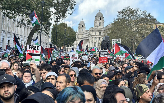 Pro-Palestine demo in central London. No one in the image relates to this article.