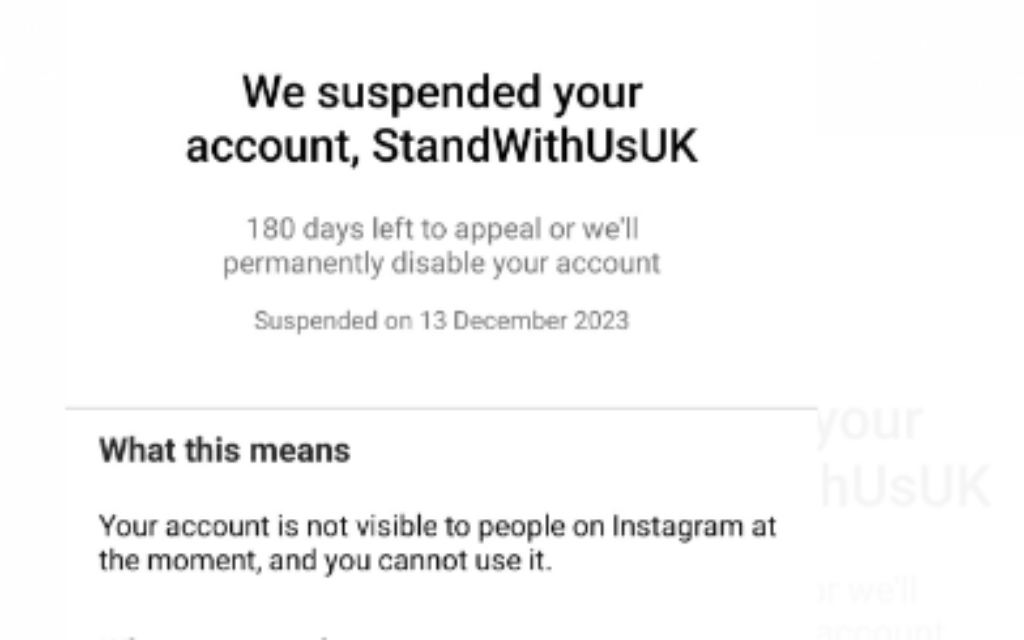 Screenshot provided by StandWithUs UK