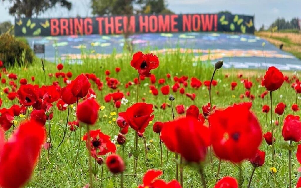 Wild poppies growing at site of Nova music festival massacre. Pic: Eitan Asraf