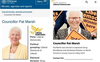 Cllr Pat Marsh has made multiple comments about 'Jews'