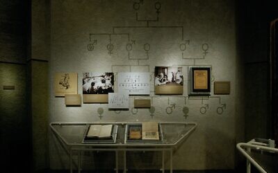 A special exhibit at the United States Holocaust Memorial Museum, "Deadly Medicine: Creating the Master Race," explores how the Nazis developed racial health policies that began with the mass sterilization of individuals considered to be "biological threats." (Courtesy United States Holocaust Memorial Museum)