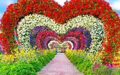 Dubai Miracle Garden Dubai Miracle Garden