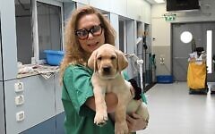 Rebecca Segal with Teddy, the dog named after her late husband, Martin who was UK chief executive of Israel Guide Dogs