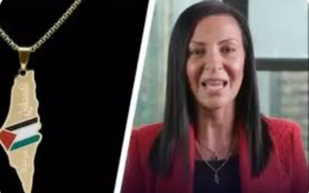 Screenshot: Dr Ruba Borno