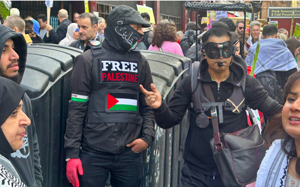 Pro-Palestine protesters during one of the Saturday protests in central London