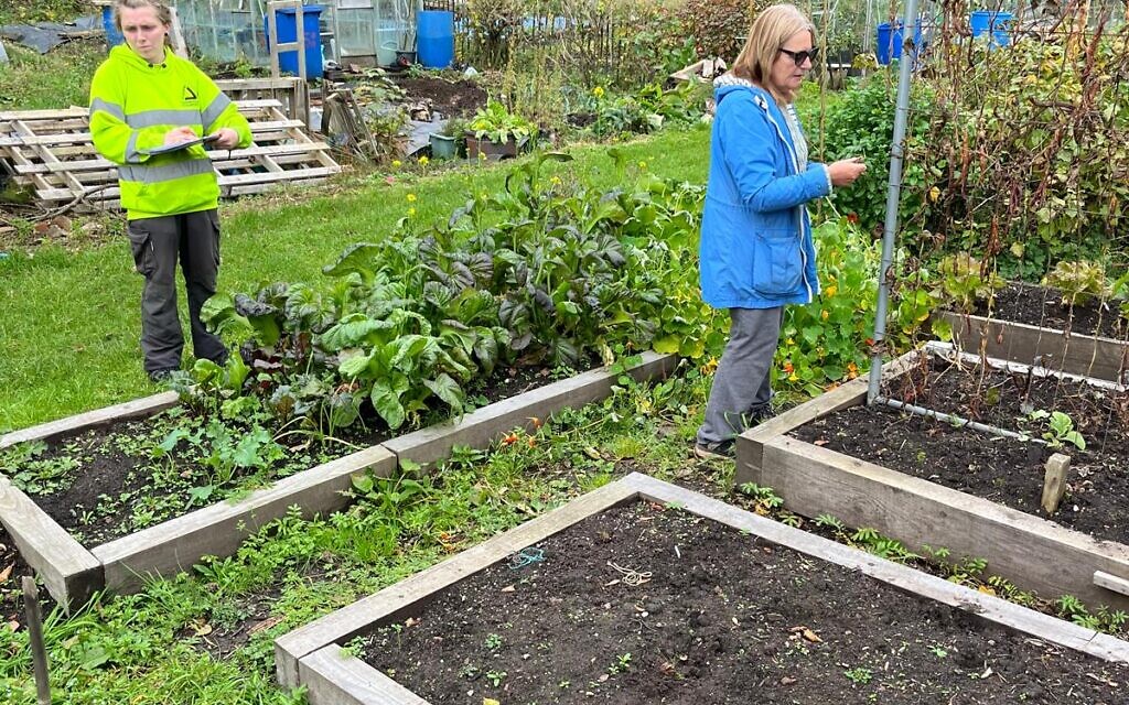 Joan Mulvenna of Incredible Edible and Leah Slater from Groundwork Greater Manchester at the Albert Avenue Allotment.