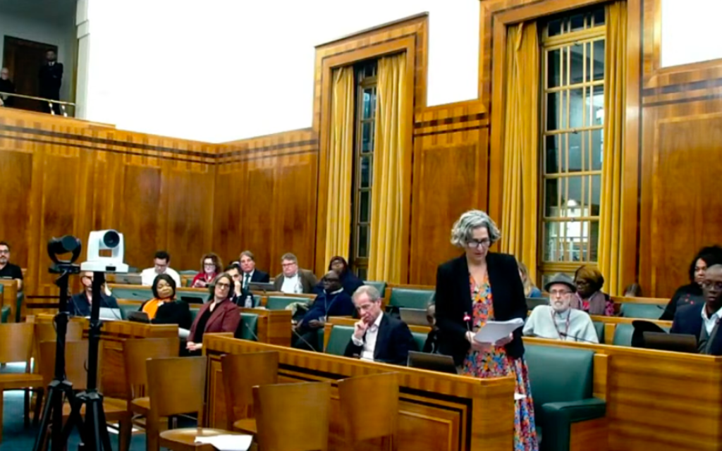 Mayor Caroline Woodley speaks against detwinning in Hackney Council debate