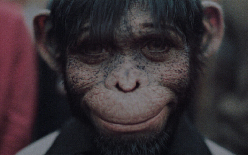 Jonno Davies as “Robbie Williams" in A Better Man from Paramount Pictures