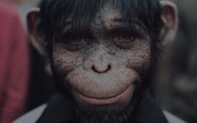 Jonno Davies as “Robbie Williams" in A Better Man from Paramount Pictures